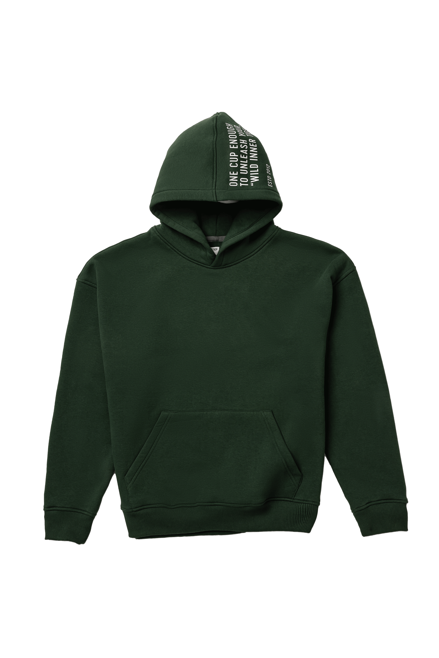 Grounded Collection Oversized Green Hoodie